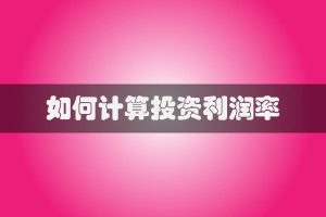 如何计算投资利润率