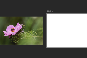 如何在Photoshop中将参考图放置在画布旁边